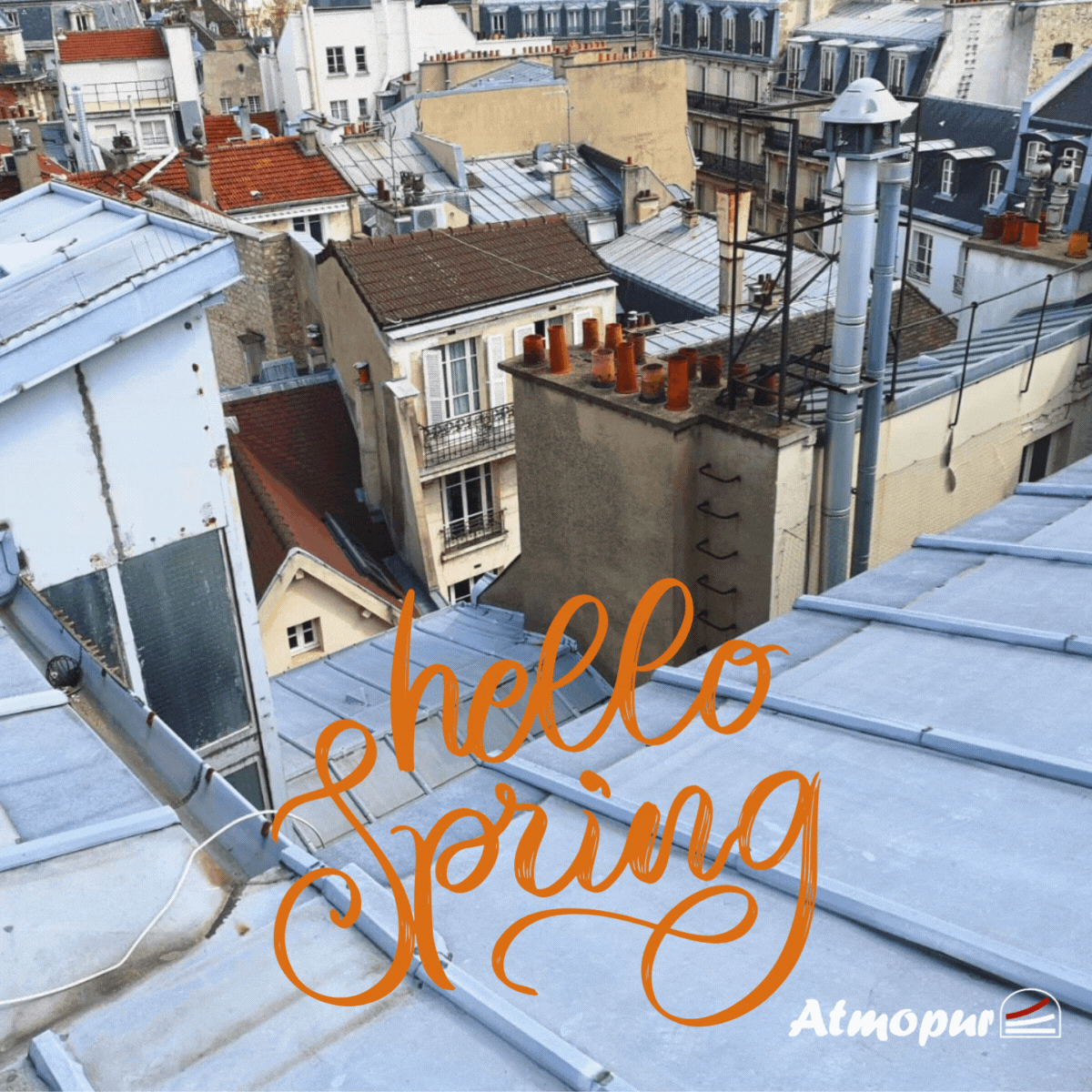 🌸 Printemps sur les toits de Paris