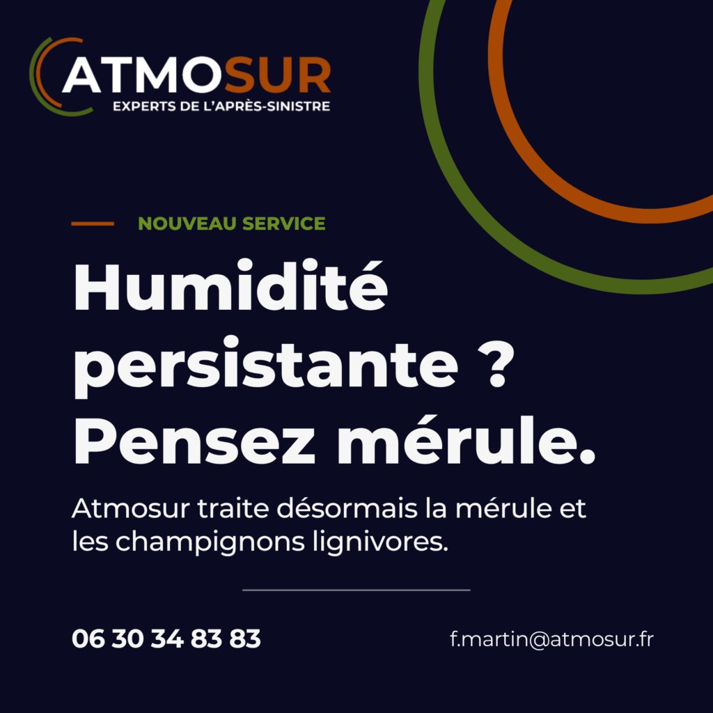 Mérule (Atmosur)