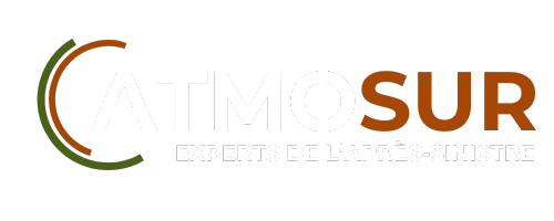 Logo Atmosur